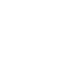 Transportation & Public Infrastructure